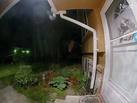 Doorbell Camera Catches Meteor Lighting up the Night Sky