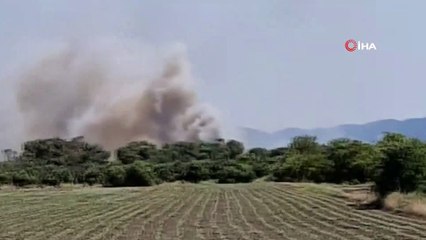 Köyceğiz’de zirai ve zeytinlik alanda yangın