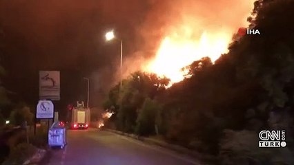 Son dakika... Turizm ilçesinde orman yangını