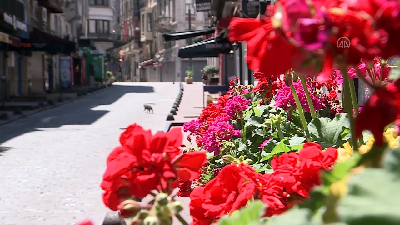 Bayramda meydanlarda kuş cıvıltısı - Taksim/İstiklal Caddesi/Eminönü/ Sultanahmet - İSTANBUL