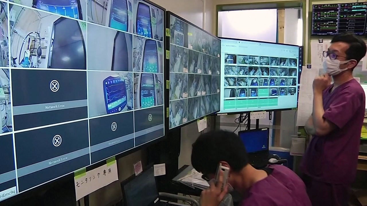 日 코로나 신규 확진 36명..."긴급사태 전면해제 방침" / YTN