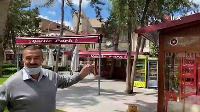 Yaralı kargayı kurtardı, diğer kargaların saldırısına uğradı