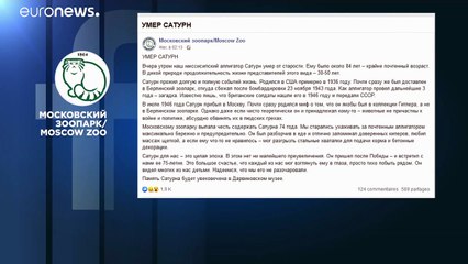 Смерть легендарного аллигатора-долгожителя