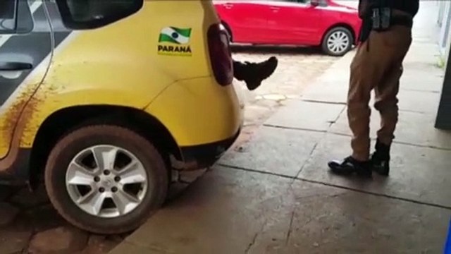 Mulher procura atendimento no posto de saúde após ser agredida e enfermeiros denunciam fato; Marido é detido dormindo