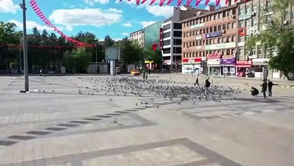 Herkes sokağa o aç kalan güvercinlere koştu