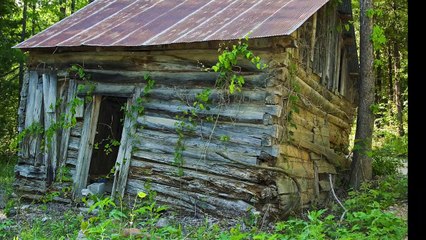 Uncommon History - The Jersey Devil