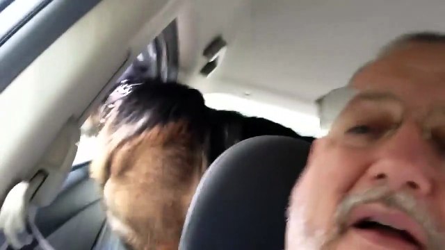 Ce chien réalise tout à coup qu'il est chez le vétérinaire