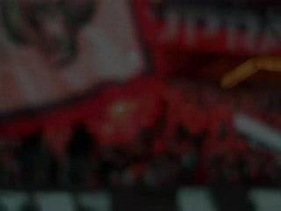 Tigris_Virage Auteuil_PSG