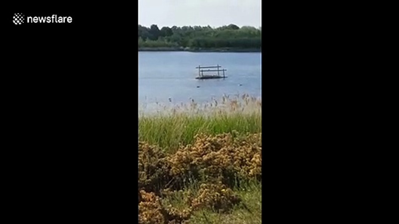 Gators spotted at a Yorkshire Nature Reserve