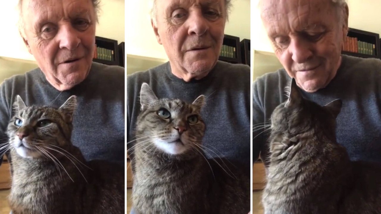 Anthony Hopkins plays piano for his cat Niblo