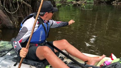 PESCA DE VAREJÃO, TRAIRÃO GIGANTE