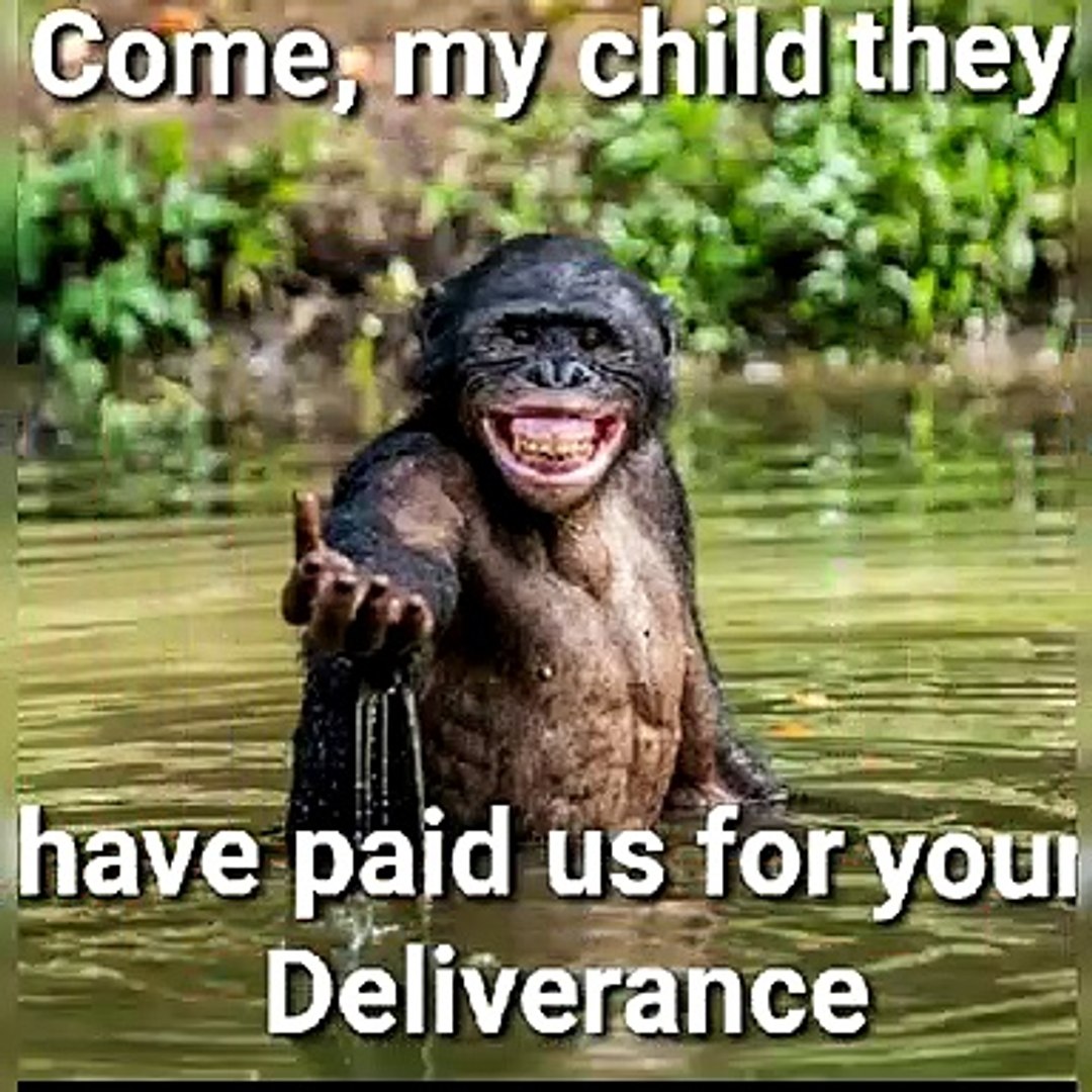 Latest Funny memes, pictures, stickers 2020