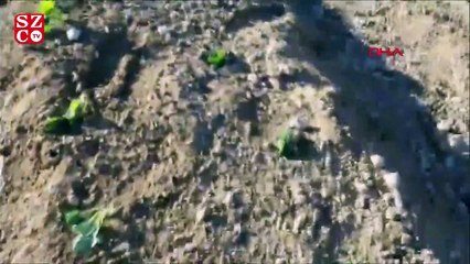 Karaman'da fırtına, seralara zarar verdi