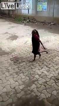 Mamie vire un serpent cobra royal en le tirant par la queue !