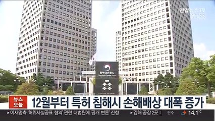 12월부터 특허 침해시 손해배상 대폭 증가