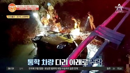 *어린이 교통사고 예방법* 슬기로운 안전벨트 착용법