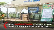 Unik! Akuarium Jadi Pagar Masjid di Sukabumi