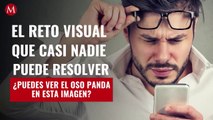 ¿Puedes ver el oso panda en esta imagen? El reto visual que casi nadie puede resolver