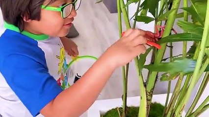 Ryan's Bug Catching at home l Pretend Play and Learn Insect Facts for kids!