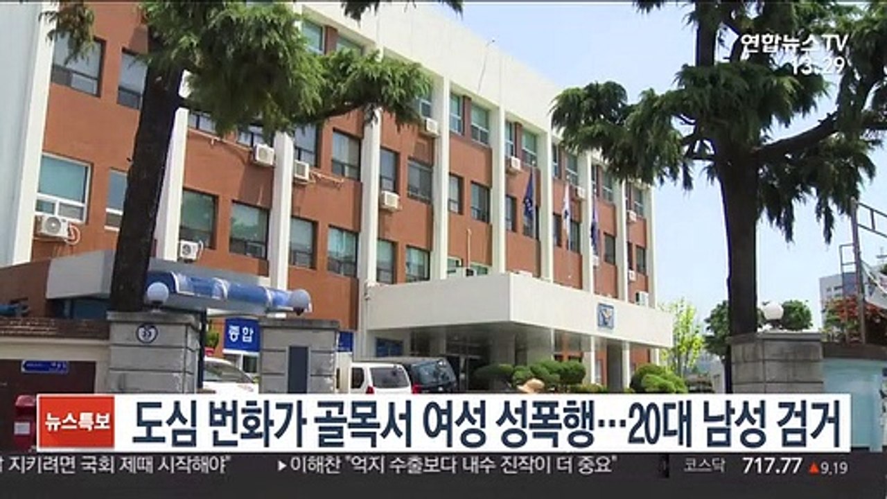 도심 번화가 골목서 여성 성폭행…20대 남성 검거