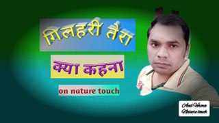 squirrel nature/squirrel nature documentary /squirrel nature video/nature touch/गिलहरी//By Anil verma. 16