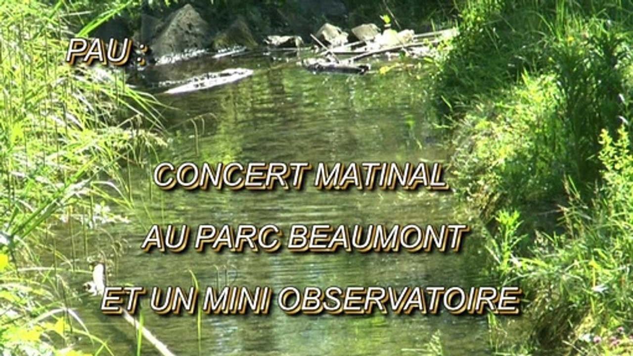 LES W-D.D. MICHOU64 NEWS - 20 MAI 2020 - PAU - CONCERT MATINAL AU PARC BEAUMONT ET UN MINI OBSERVATOIRE
