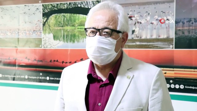 Kısıtlamada 'seyfe gölü' kuşlara kaldı