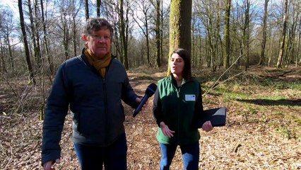 Le bois, une valeur durable !