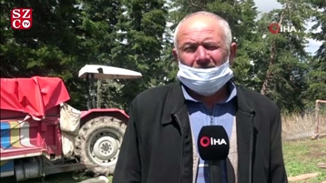 Aniden bastıran kar yağışı nedeniyle 50 koyun ve 30 kuzu telef oldu