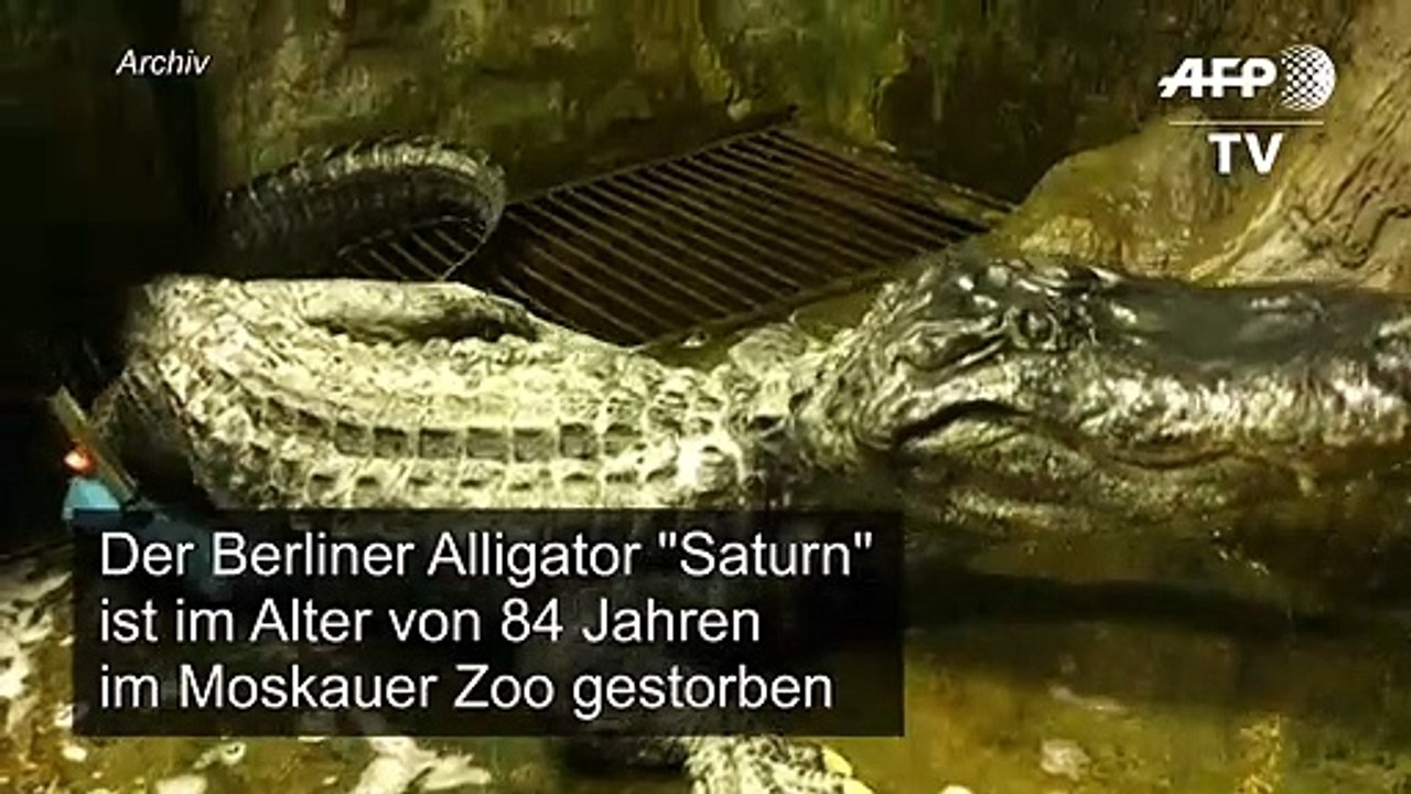 Berliner Alligator stirbt 84-jährig in Moskauer Zoo
