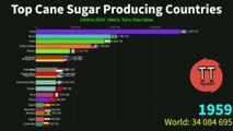 Highest Cane Sugar Production Countries(1959-2019)