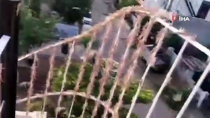 Hindistan’da çekirge istilası