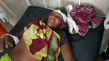 सीहोर के वन क्षेत्र में तेंदूपत्ता लेने गई महिला पर तेंदुए ने किया हमला