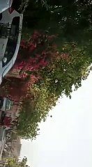 Tiddy attack in world famous city  jaipur