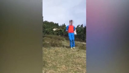 Sembra una scena da film: un orso spunta dai cespugli di mugo alle spalle di un bambino