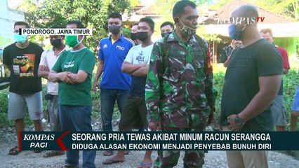 Tewas Minum Racun Serangga, Diduga Alasan Ekonomi