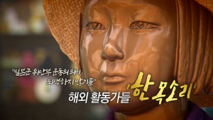 [영상] 해외 활동가들 "위안부 운동 의미 퇴색 않기를" / YTN