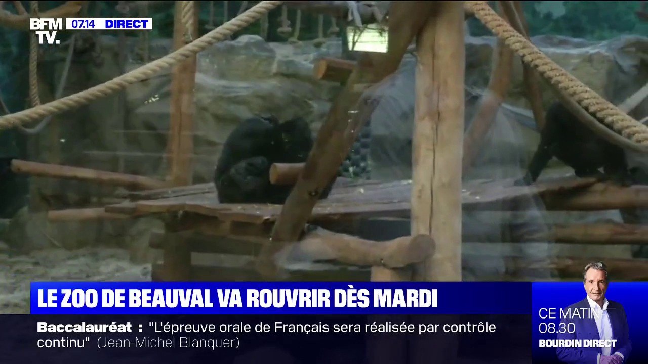 Le zoo de Beauval ouvrira à nouveau ses portes dès le 2 juin