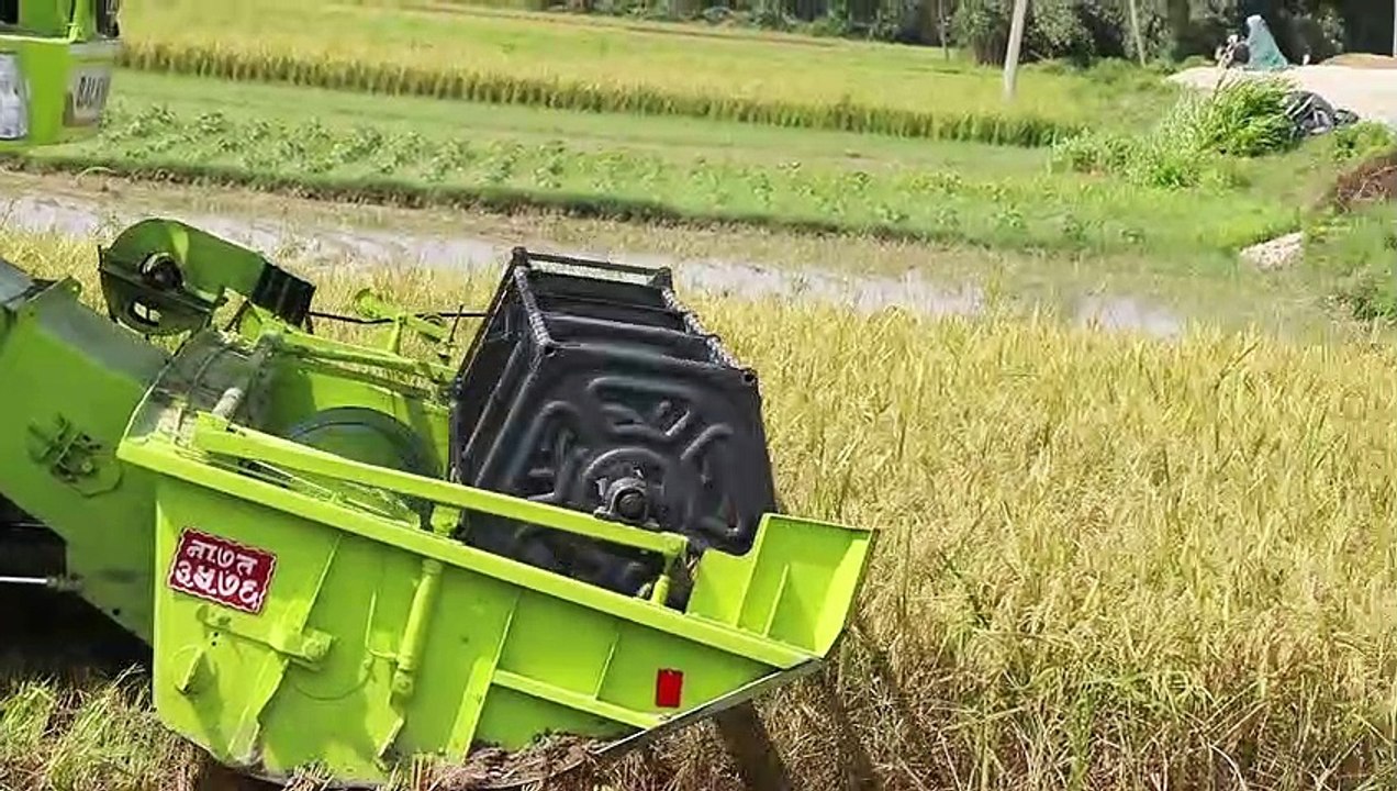 Paddy thresher machine