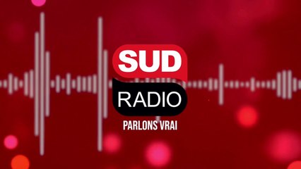 Élisabeth Lévy - "Le 29 mai 2005, les Français disaient non au traité constitutionnel"