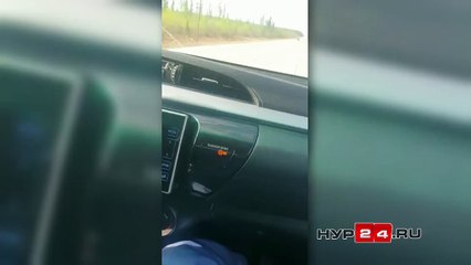 Ils arrête sa voiture face à... un Ours !