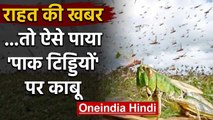 Locust Attack : हवा के रुख ने फिर Pakistani Locust को पश्चिम की ओर लौटाया | वनइंडिया हिंदी