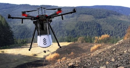 Pour reboiser des forêts, une entreprise utilise des drones capables de déposer des graines dans le sol