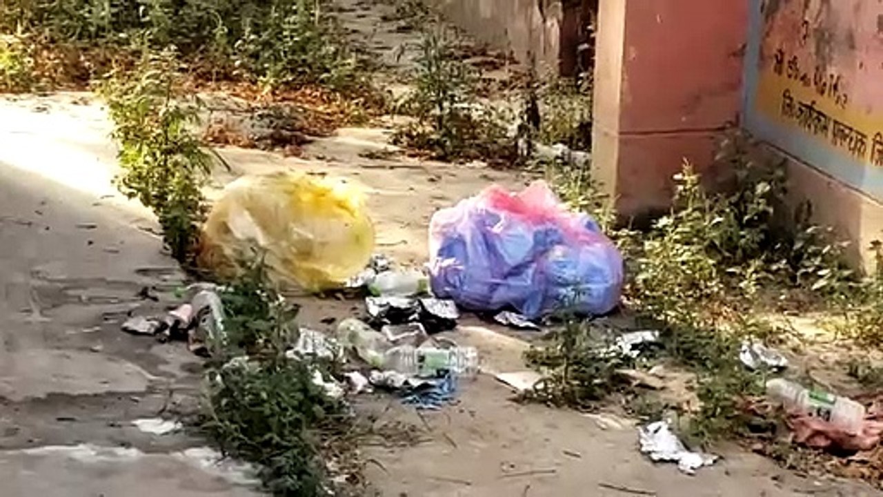 शामली कोरोना पर लापरवाही पीपीई किट से खेल रहे श्वान, डीएम ने दिए जांच के आद