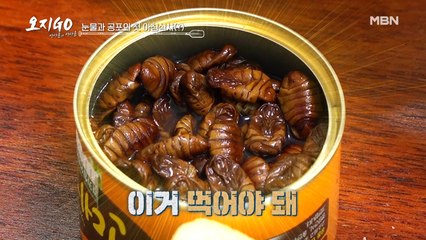 번데기 먹은 원시 부족 찐(?)반응