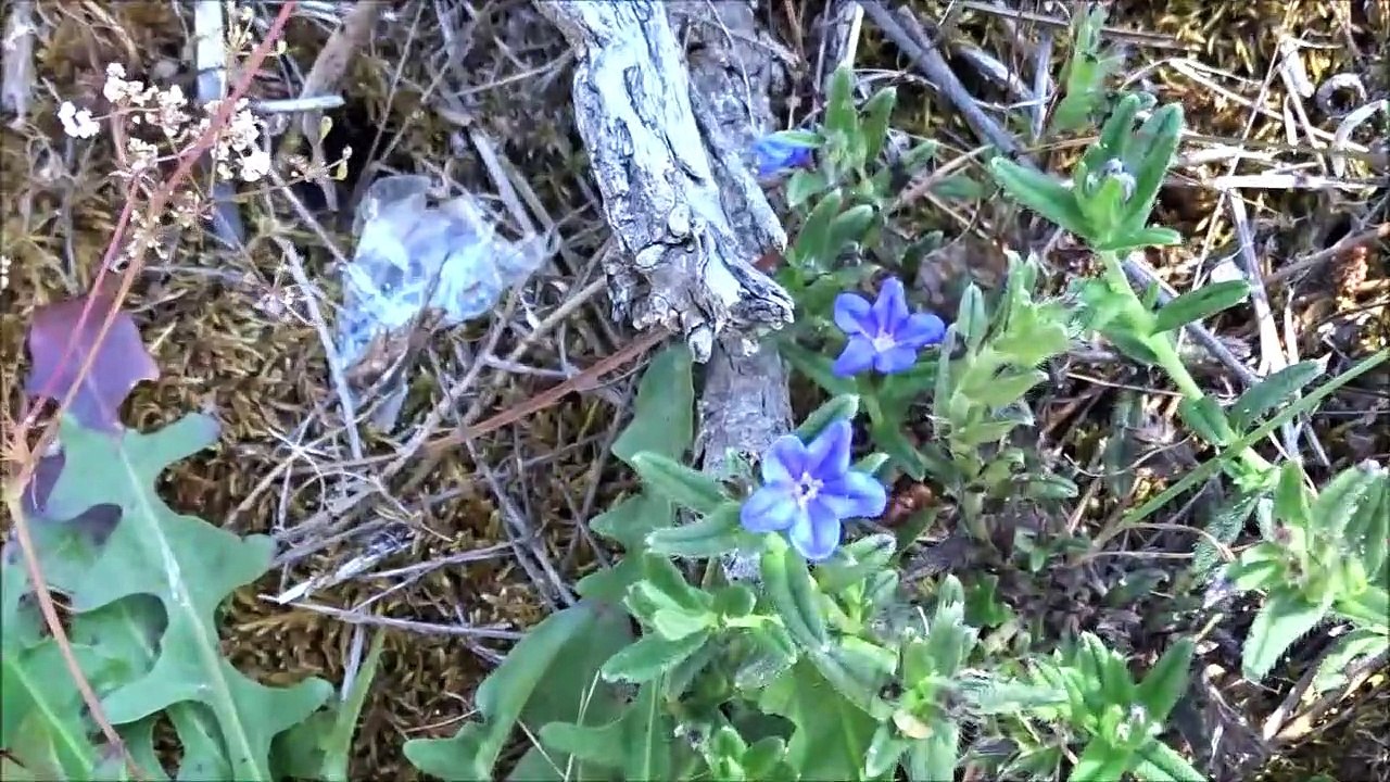 Praia Fluvial das Cortes, nos sons da Banda Covilhã a 24-5-2020