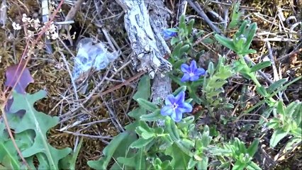Praia Fluvial das Cortes, nos sons da Banda Covilhã a 24-5-2020