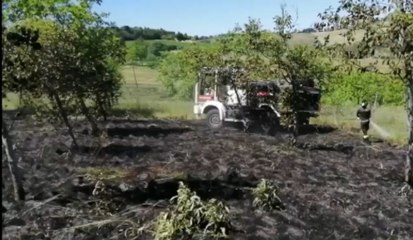 Macerata - Incendio di sterpaglie a Villa Potenza (25.05.20)