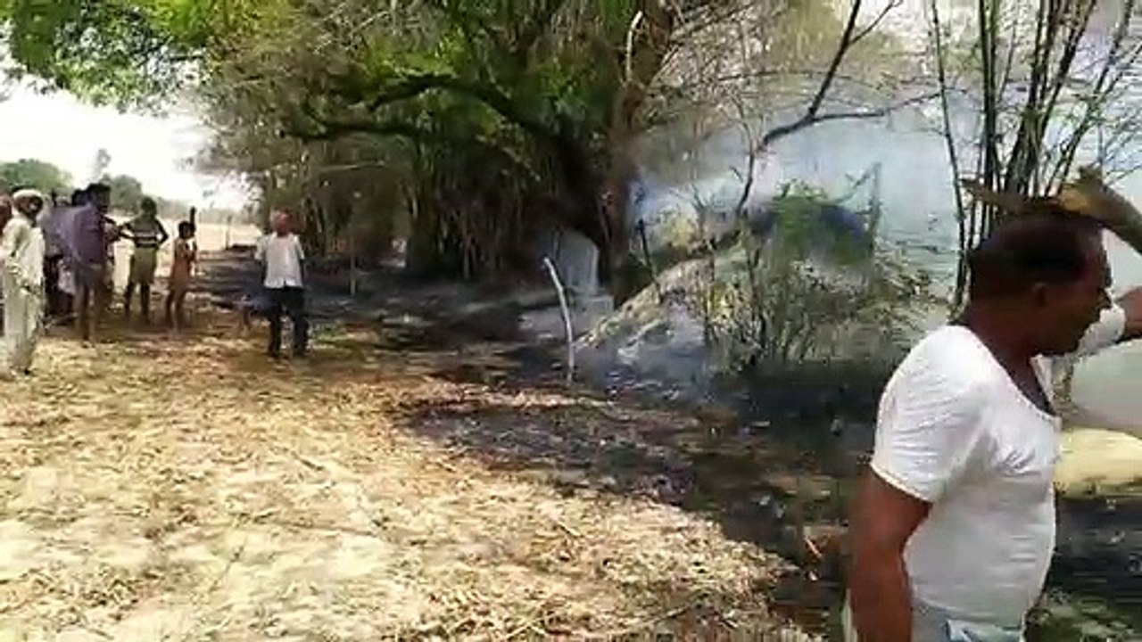 पेड़ में लगी आग, स्थानीय लोगों ने पाया आग पर काबू