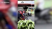 Kind Filipino man hands out vegetables to people struggling with COVID-19 downturn